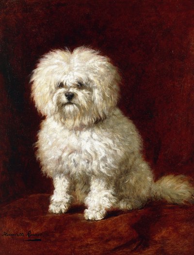 プードル、 作： Henriëtte Ronner Knip