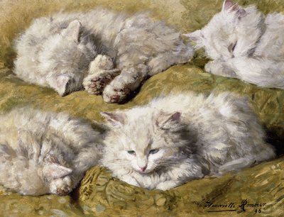 長い髪の白猫の研究、1896 作： Henriëtte Ronner Knip
