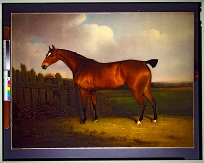 リッチモンド・レノックス公チャールズ5世の所有馬、ベイの競走馬の風景（絵画） 作： Henry Bernard Chalon