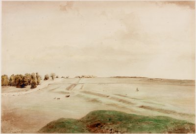 ダウンヒル、ノーサンバーランド（ボディカラー） 作： Henry Burdon Richardson