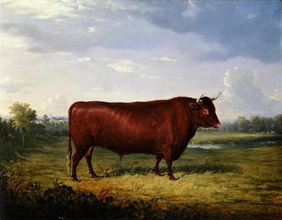 ブラウンブルの肖像 作： Henry Calvert