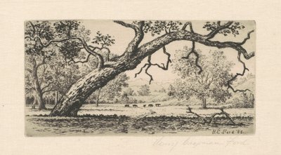 カリフォルニアの風景、1888 年。 作： Henry Chapman Ford