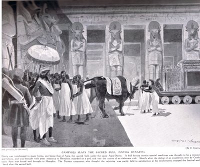 Cambysesは、「ハチソンの歴史」のイラスト、c.1910からの神聖な雄牛を倒します 作： Henry Charles Seppings Wright