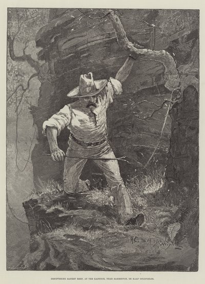 ケープゴールドフィールズのバーバートン近くのオフィスでバンケットリーフを発見 作： Henry Charles Seppings Wright