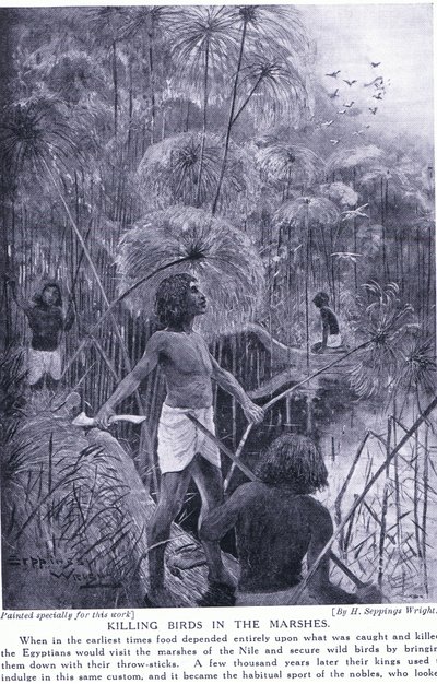 沼地で鳥を殺す、1920年頃 作： Henry Charles Seppings Wright