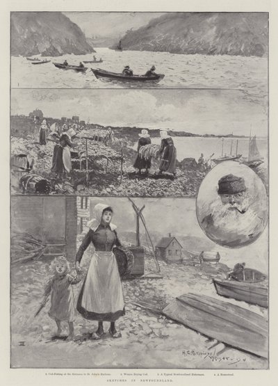 ニューファンドランドのスケッチ 作： Henry Charles Seppings Wright