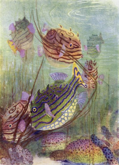 サンゴ海の貴重品 作： Henry Charles Seppings Wright