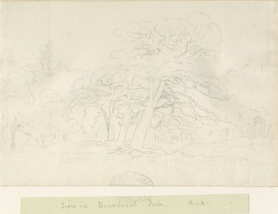 Beaudesert Park：鉛筆画、nd [1788-1855] 作： Henry Curzon Allport