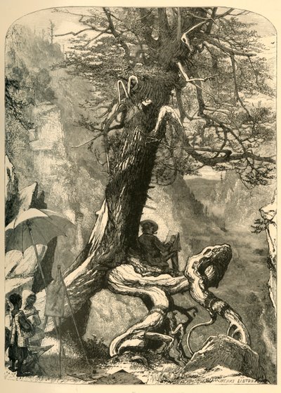 「ナチュラル ブリッジの上」、1872 年。 作： Henry Duff Linton