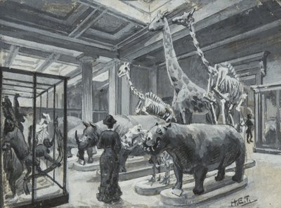 1880年頃の動物展示を含むギャラリーを示す大英博物館の内観 作： Henry Edward Tidmarsh
