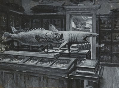 魚類展示室を示す大英博物館の内観 1880年頃（紙にウォッシュ＆ボディカラー 作： Henry Edward Tidmarsh
