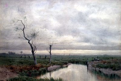 海岸の湿原（水彩画 作： Henry Farrer