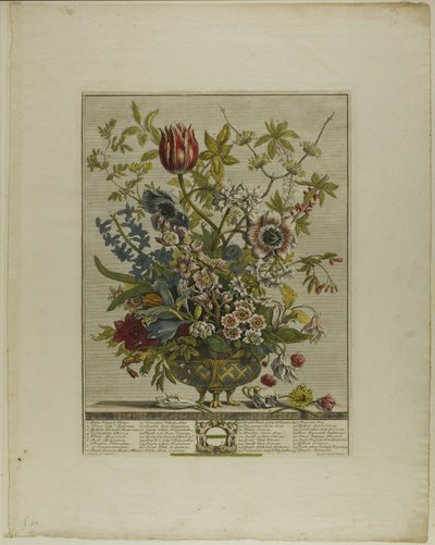 十二月の花より 2月 作： Henry Fletcher