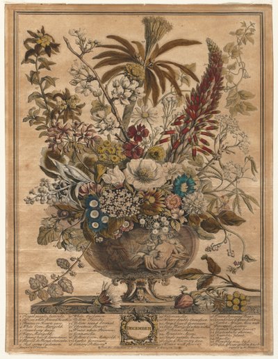 花の十二ヶ月：12月 作： Henry Fletcher