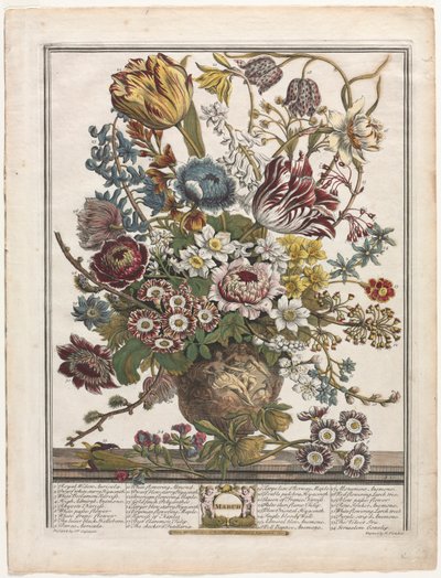 花の 12 ヶ月: 1730 年 3 月。 作： Henry Fletcher
