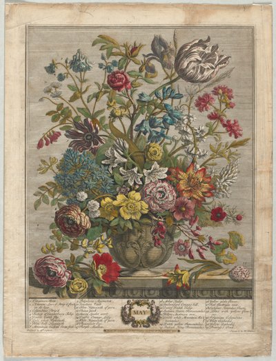 十二ヶ月の花: 5月 作： Henry Fletcher