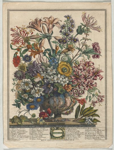 花の12ヶ月：1730年10月。 作： Henry Fletcher