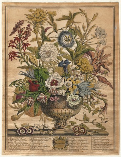 花の十二ヶ月。1730年9月 作： Henry Fletcher