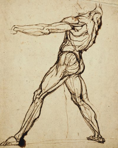 ヌード投げ、 作： Johann Heinrich Füssli