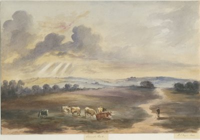 Cannock Chase-"Heath"：水彩画、1844 作： Henry James Noyes