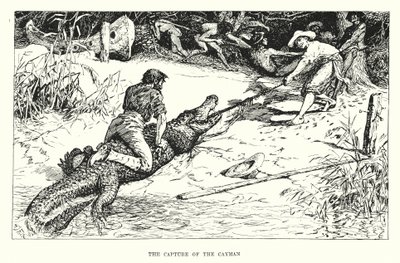 ケイマンの捕獲（エングレーヴィング） 作： Henry Justice Ford