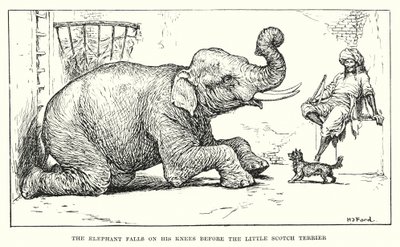 小さなスコッチ・テリアの前に膝をつく象（エングレーヴィング） 作： Henry Justice Ford