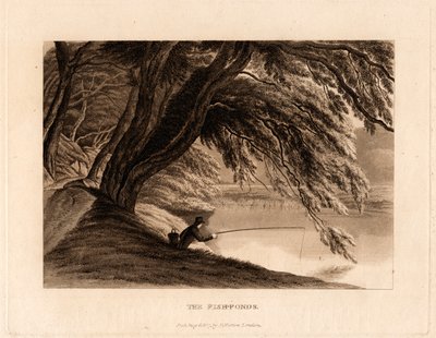 Os viveiros de peixes 作： Henry Morton