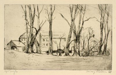 大きな木々の間から見える病院のような建物 作： Henry Nielsen
