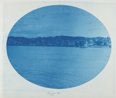 イリノイ州サバンナ、1891年（写真） 作： Henry Peter Bosse