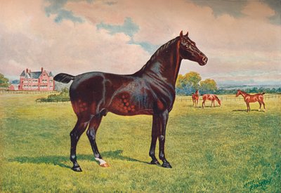 ハックニーポニー種馬バークレーモデル、c1900 c1910 作： Henry Powell Palfrey