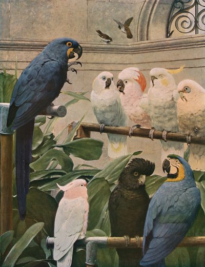 選択委員会、1891年、c1930。 作： Henry Stacey Marks