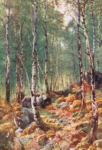 作： Henry Sutton Palmer
