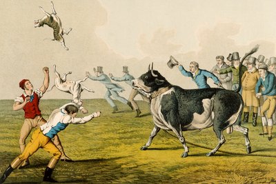 「ブル・ベイティング」、パブ。 Thomas McLean、1820年（印刷） 作： Henry Thomas Alken