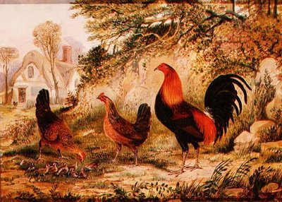 コケコッコーと雌鳥と雛 作： Henry Thomas Alken