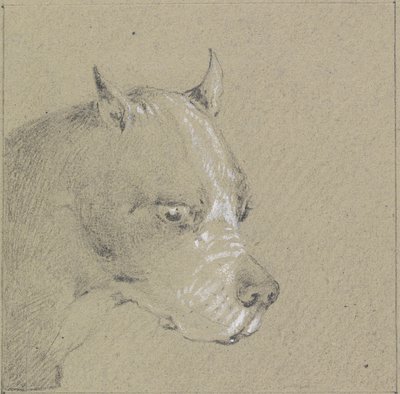 ボクサー犬の頭と肩（紙の上で白く強調されたグラファイト） 作： Henry Thomas Alken