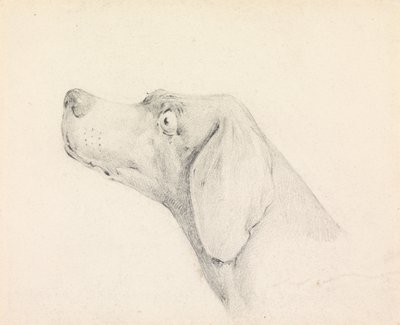  作： Henry Thomas Alken