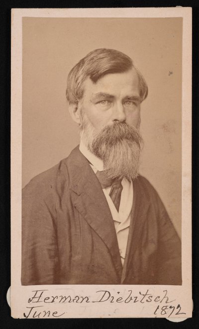 Herman Henry Diebitsch 1818-1883、1871 の肖像。 作： Henry Ulke