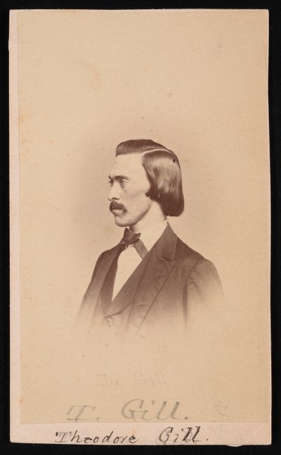 セオドア・ニコラス・ギルの肖像、1837～1914年、1865～1870年。 作： Henry Ulke