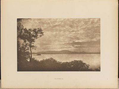 思い出の品 作： Henry W. Cave