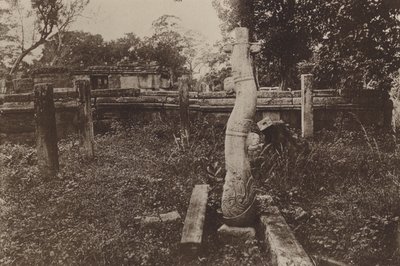 セイロンの荒廃した都市: 奇妙な丸みを帯びた柱と廃墟 (白黒写真) 作： Henry W. Cave