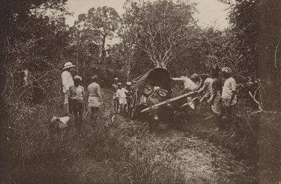 セイロンの荒廃した都市: ポロンナルワに向かう途中 (白黒写真) 作： Henry W. Cave