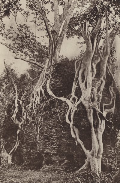 セイロンの荒廃した都市: コトゥワ (白黒写真) 作： Henry W. Cave