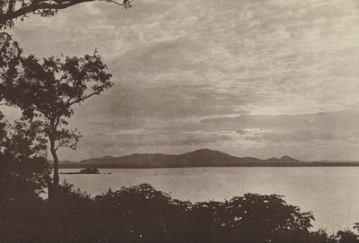セイロンの荒廃した都市: ミネリア (白黒写真) 作： Henry W. Cave