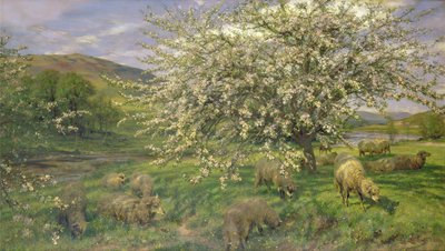 不明な画像 作： Henry William Banks Davis