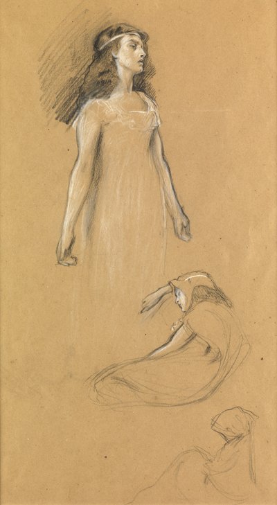 「トリストラムとイゾルデ」のための研究、1901年頃 作： Herbert James Draper