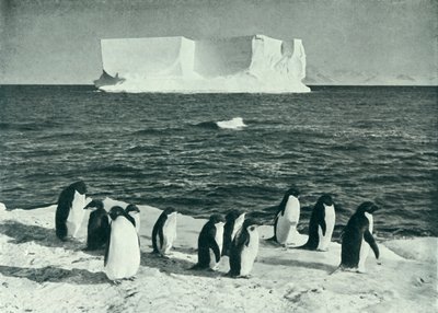 マクマードサウンドで漂流するベルク、c19101913、1913。 作： Herbert Ponting