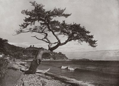熱海（モノクロ写真 作： Herbert Ponting