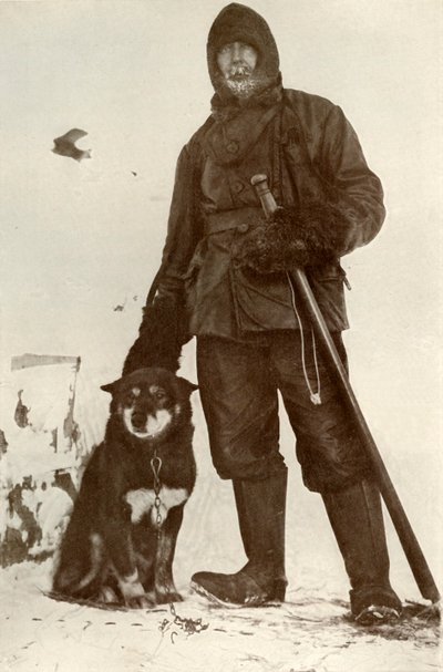 1911年8月28日、1913年8月28日、犬のリーダーであるCHミアレスとオスマン 作： Herbert Ponting