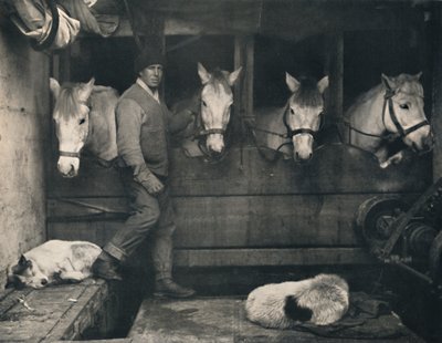 キャプテンオーツ、シベリアのポニーと一緒にテラノヴァで、c1911、1914。 作： Herbert Ponting