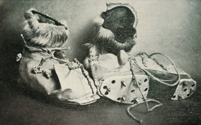 クランポンとフィネスコ、c19101913、1913 作： Herbert Ponting